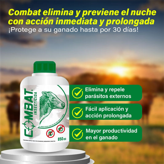 Combat