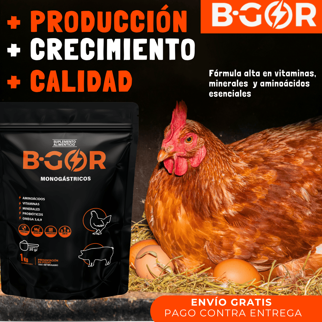 Bgor LX 1Kg