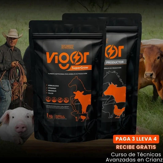 Vigor Presentación  Kilo